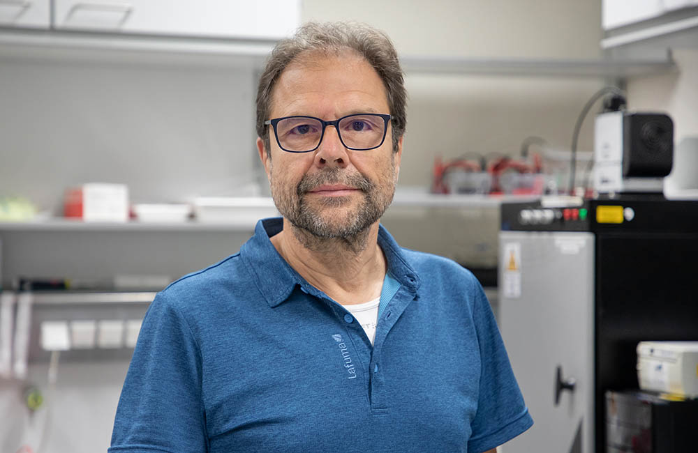Professor Dr. Thomas Fischer Professor Dr. Thomas Fischer